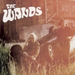 The-Wands-The-Dawn-150x150 Les sorties musique pop, rock, electro du 4 novembre 2014