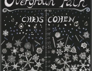 Chris Cohen : Overgrown Path