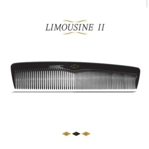 II1-300x300 Limousine : Limousine II