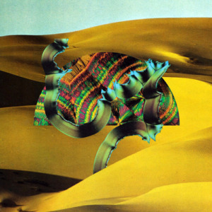 django-django-album-cover-300x300 Django Django - Django Django