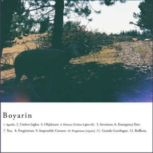 boyarin-album-2012-300x300 Boyarin - #