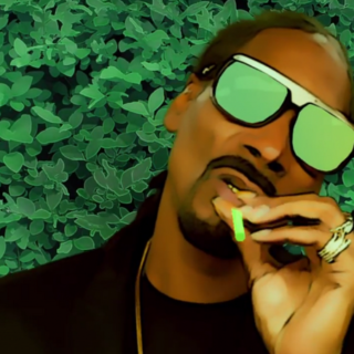Snoop Dogg - Bush photo