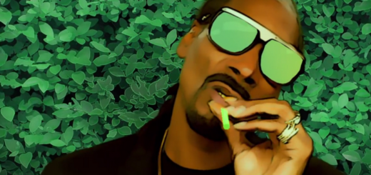 Snoop Dogg - Bush photo