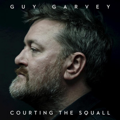 guy-courting-the-squall Les sorties d'albums pop, rock, electro, rap du 30 octobre 2015