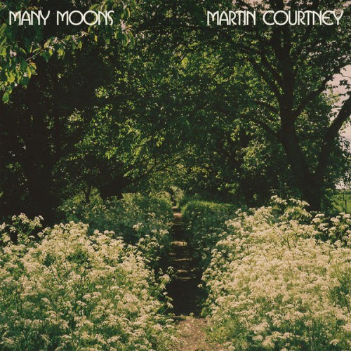 martin-courtney-many-moons Les sorties d'albums pop, rock, electro, rap du 30 octobre 2015