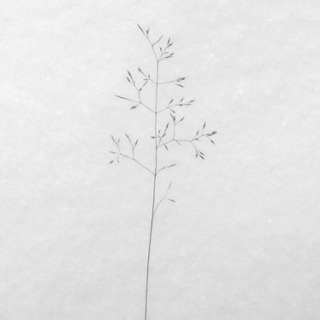 Dronarivm Into The White (New Year's 2016 free compilation)