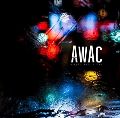 awac-angil-was-a-cat Les sorties d'albums pop, rock, electro, rap du 15 janvier 2016