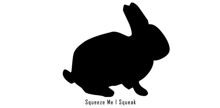 Squeeze-Me-i-Squeak Réédition de l'album de Squeeze Me I Squeak sur le label de KIM