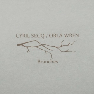 Cyril Secq Orla Wren branches