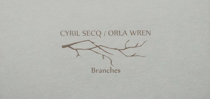 Cyril Secq Orla Wren branches