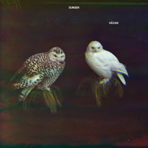 dungen-haxan-300x300 Les sorties d'albums pop, rock, electro du 18 novembre 2016