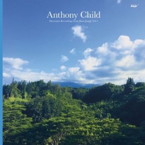 anthony-child-electronic-recordings-from-maui-jungle-vol-2-300x300 Les sorties d'albums pop, rock, electro, rap, jazz du 9 décembre 2016