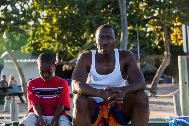 moonlight Moonlight, un film sensible et touchant signé Barry Jenkins
