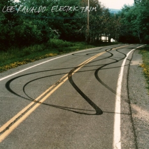 lee-renaldo-electric-trim-300x300 Les sorties d'albums pop, rock, electro, rap, du 15 septembre 2017