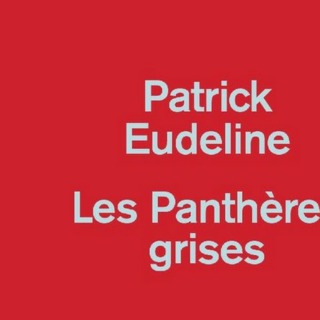 Les Panthères grises - Patrick Eudeline