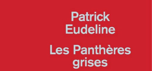 Les Panthères grises - Patrick Eudeline