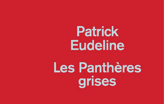 Les_pantheres_grises Les Panthères grises - Patrick Eudeline