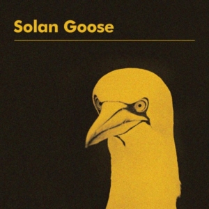 Erland-Cooper-solan-goose-300x300 Les sorties d'albums pop, rock, electro, rap, jazz du 23 mars 2018