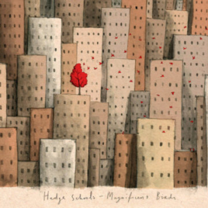 The-Hedge-Schools-Magnificent-Birds-360x360-300x300 Les sorties d'albums pop, rock, electro, rap, jazz du 4 mai 2018