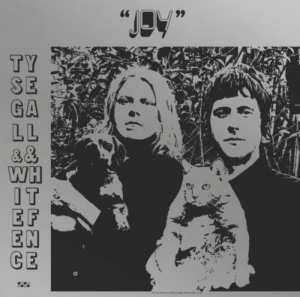 Ty-Segall-White-Fence-Joy-300x297 Les sorties d'albums pop, rock, électro, rap et jazz de juillet 2018