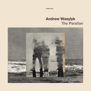 Andrew Wasylyk – The Paralian