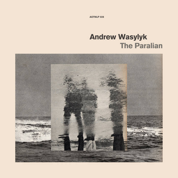 Andrew-Wasylyk-The-Paralian Andrew Wasylyk – The Paralian