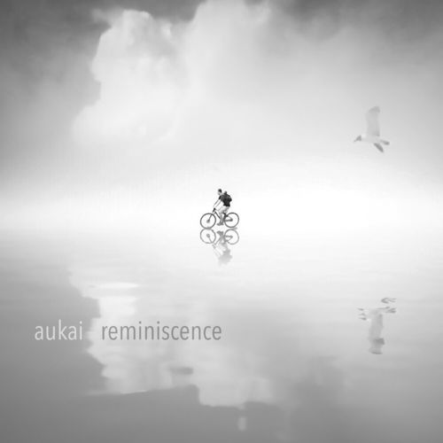 Aukai-–-Reminiscence 10 albums majeurs pour la première partie de 2019