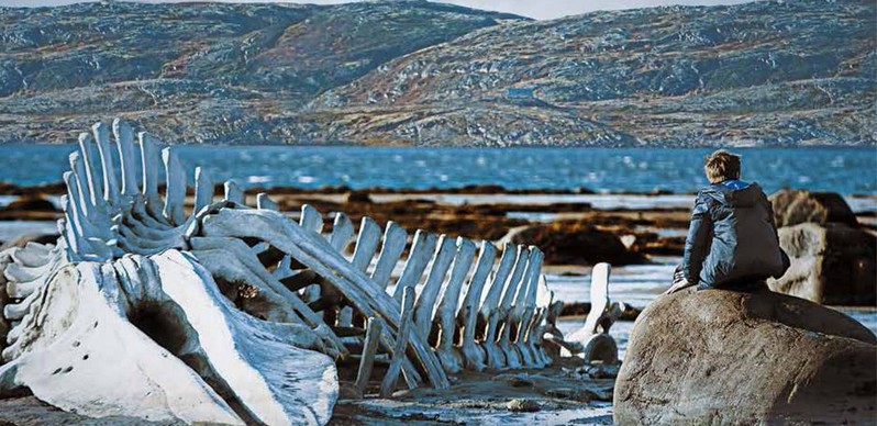 Leviathan Les meilleurs films de la décennie 2010-2019