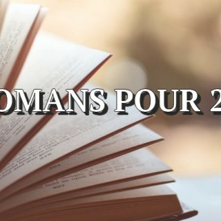 5 romans pour 2019