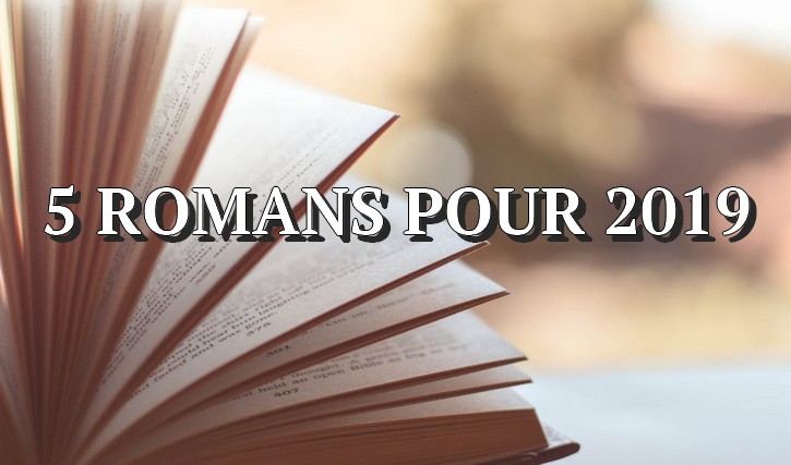 romans 5 très bons romans à retenir de 2019