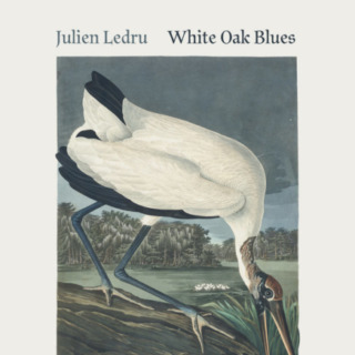 Julien Ledru - White Oak Blues
