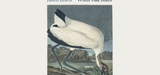 Julien Ledru - White Oak Blues