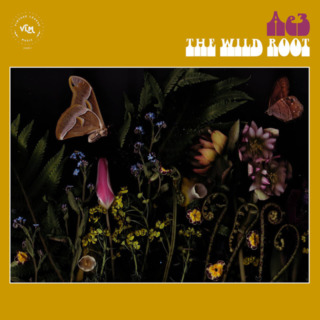 Alan Evans Trio – The Wild Root