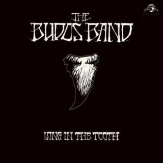 The Budos Band – Long in the Tooth