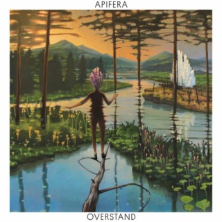 Apifera-Overstand