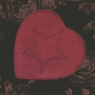 Birch Book - Heart Star Gift