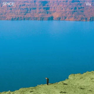 SPICE – VIV