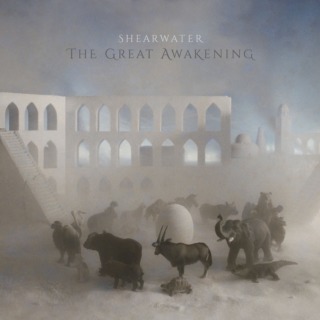 SHEARWATER – ‘THE GREAT AWAKENING’