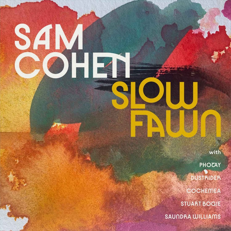 sam-cohen-slow-foam Sam Cohen – Slow Fawn