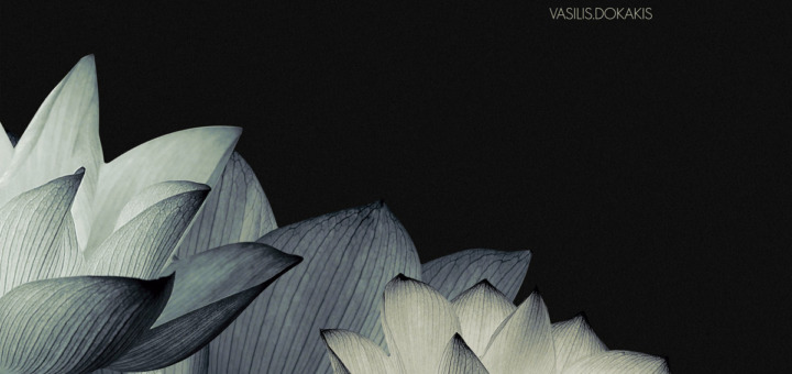 Vasilis Dokakis – Lotus