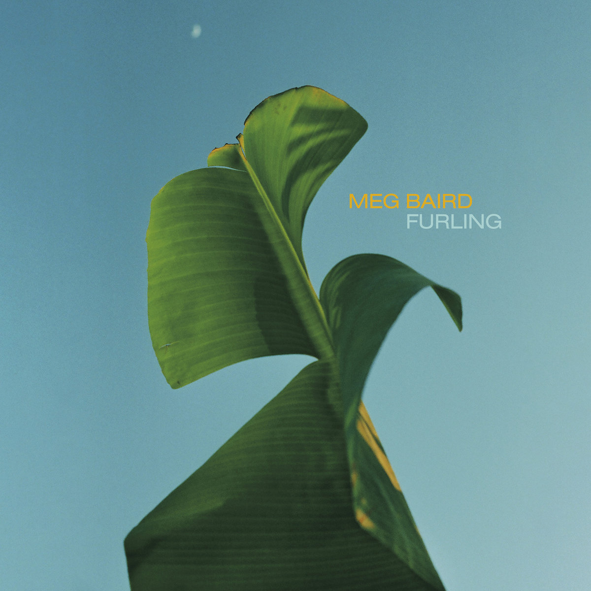 meg-baird-furling Meg Baird – Furling : un petit air de printemps