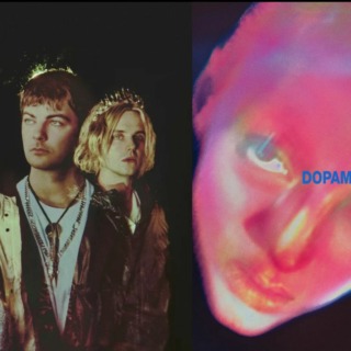 Fontaines-dc-Dopamine Chamber